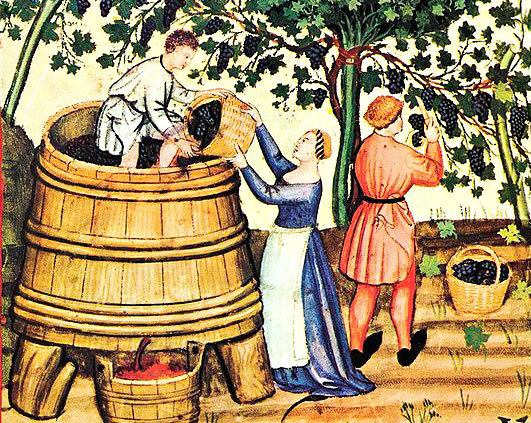 Winemaking