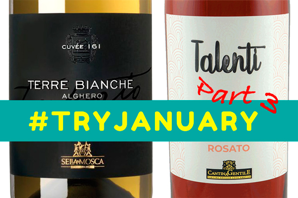 TryJanuary_Part3_Cover_Terre_Bianche_Cuvee_161